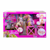 Barbie Rozkošný koník s doplňky - Cena : 1199,- Kč s dph 