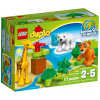 LEGO DUPLO 10801 - Mltka - Cena : 249,- K s dph 