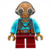 LEGO<sup></sup> Star Wars - Maz Kanata 