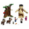 LEGO Harry Potter 75967 - Zapovzen les: Setkn Drpa a profesorky - Cena : 630,- K s dph 