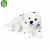 plyov pes Dalmatin lec, 38 cm - Cena : 453,- K s dph 