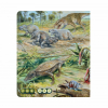 Kouzeln ten - Kniha Dinosaui - Cena : 399,- K s dph 