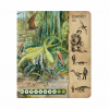 Kouzeln ten - Kniha Dinosaui - Cena : 399,- K s dph 