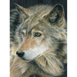 Obrázek Maľovanie podľa čísel pastelkami - Vlk