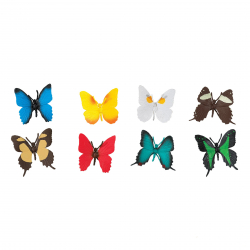 Obrázek Motýli
