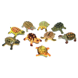 Obrázek korytnačky v sáčku 9 ks