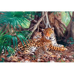 Obrázek Puzzle 3000 dílků -  Jaguaři