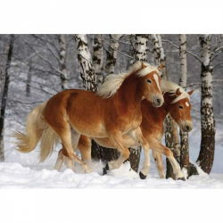 Obrázek Diamantový obrázek - Koně v zimě 30x40cm