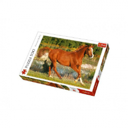 Obrázek Puzzle Kůň 500 dílků 48x34cm