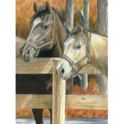 Obrázek Malování podle čísel PASTELKAMI - Koně ve stáji