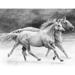 Obrázek Malování SKICOVACÍMI TUŽKAMI-Běžící koně