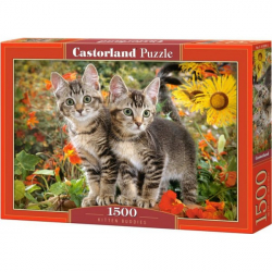 Obrázek Puzzle Castorland 1500 dílků - Kočičí kamarádi