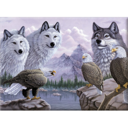 Obrázek Malování podle čísel -Vlci a orli
