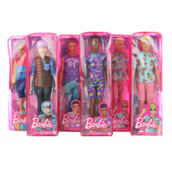 Obrázek Barbie Model Ken DWK44