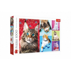 Obrázek Puzzle Šťastné kočky 1000 dílků 68,3x48cm v krabici 40x27x6cm
