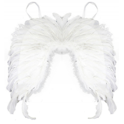 Obrázek křídla andělská, peří