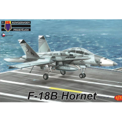 Obrázek F-18B Hornet