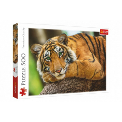 Obrázek Puzzle Portrét tygra 500 dílků 48x34cm v krabici 40x27x4,5cm
