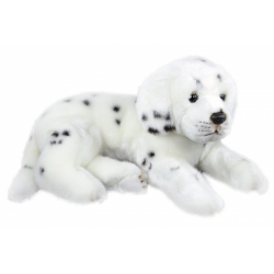 Obrázek plyšový pes Dalmatin ležící, 38 cm