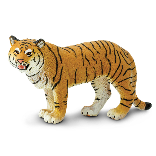 Samice tygra bengálského