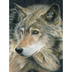 Obrázek Malování podle čísel PASTELKAMI - Vlk