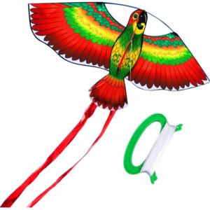Obrázek Létající drak- papoušek