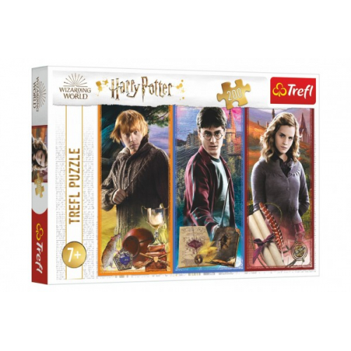 Obrázek Puzzle Ve světě magie a čarodějnictví/Harry Potter 200 dílků 48x34cm v krabici 33x23x4cm