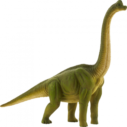 Obrázek Mojo Animal Planet Brachiosaurus velký