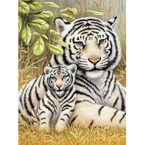 Obrázek Malování podle čísel 22x30 cm - Tygr-matka s mládětem