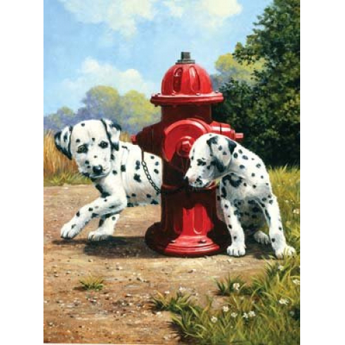 Obrázek Malování podle čísel 22x30 cm- Dalmatini u červeného hydrantu