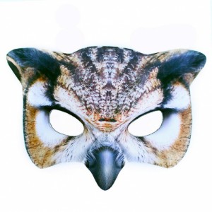 Obrázek Maska sova