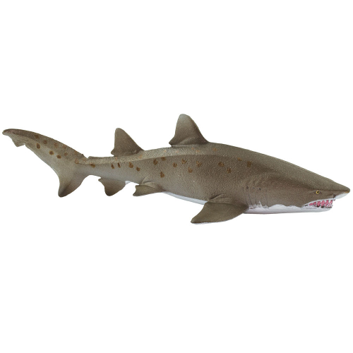 Figurka - Žralok písečný