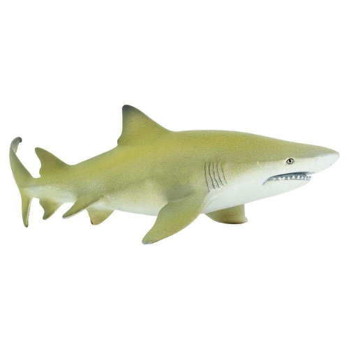 Žralok citronový