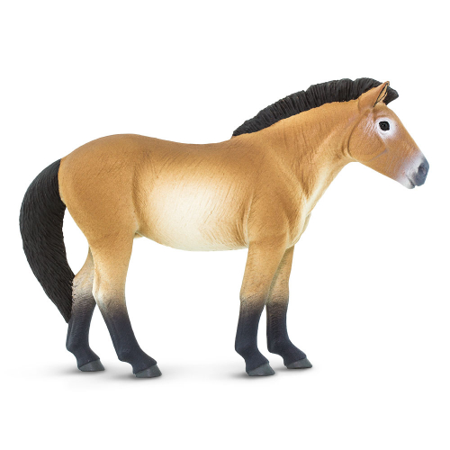 Figurka - Kůň převalského