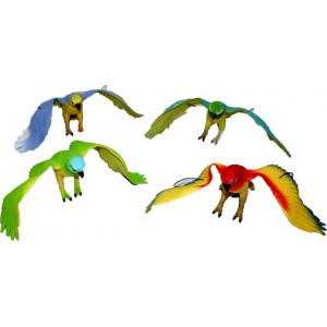 Obrázek papoušci 4 druhy