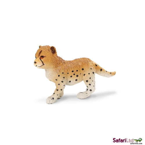 Mládě geparda