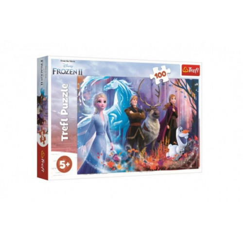 Obrázek Puzzle Ledové království II/Frozen II 100 dílků 41x27,5cm v krabici 29x19x4cm