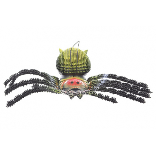 Obrázek Pavouk pískací