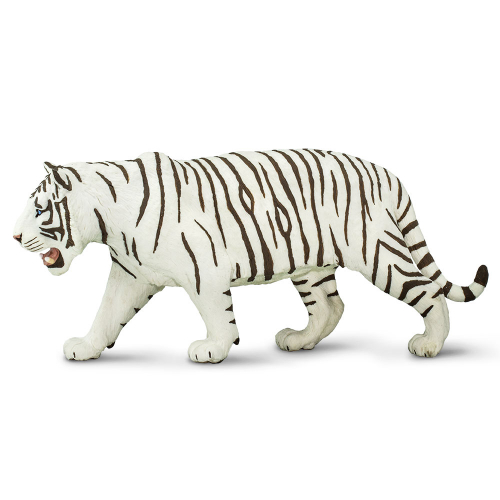 Bílý tygr ussurijský