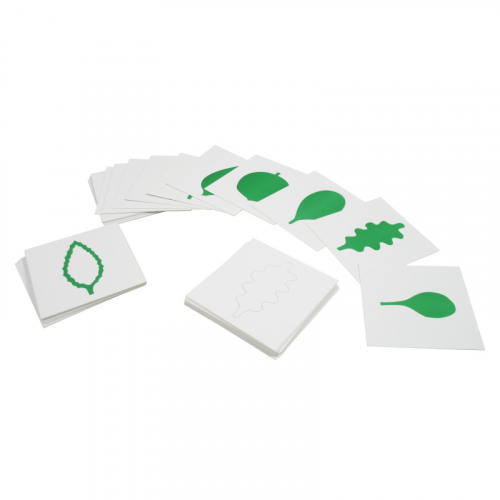 Karty - tvary listů