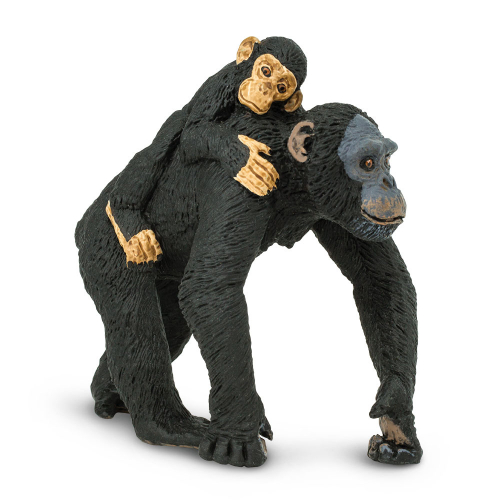 Šimpanz s mládětem
