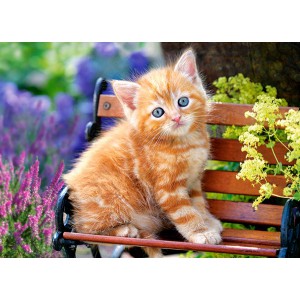 Obrázek Puzzle 500 dílků - Kotě na lavičce