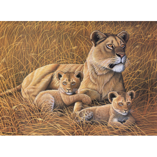 Obrázek Malování podle čísel 30x40 cm- Lvice a lvíčata