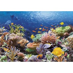 Obrázek Puzzle 1000 dílků - Podmořský svět