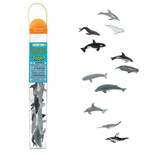 Obrázek Tuba - Velryby a delfíni