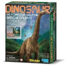Dinosau kostra - Brachiosaurus - Cena : 267,- K s dph 