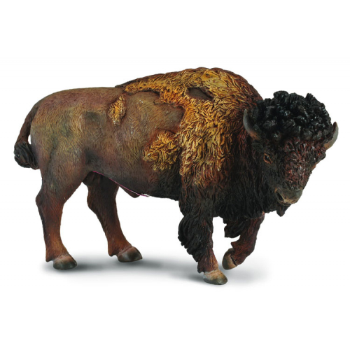 Americk bizon - Cena : 149,- K s dph 