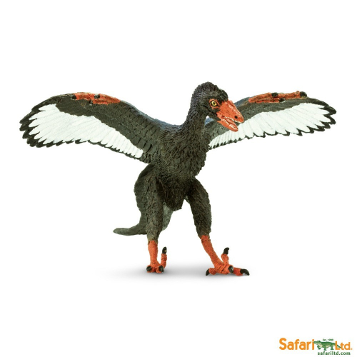 Obrázek Archaeopteryx