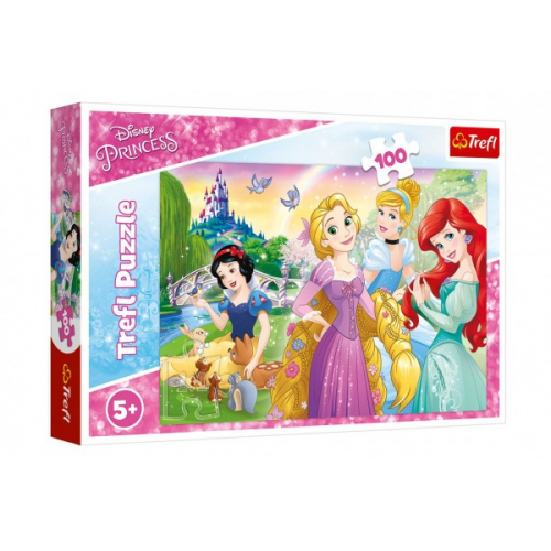 Puzzle Disney princezny - Sen o princezn 100 dlk 41x27,5cm v krabici 29x19x4cm - Cena : 78,- K s dph 