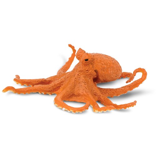 Obrázek Chobotnice
